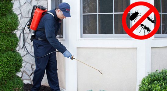 Kelkit Böcek İlaçlama böcek ilaçlama ve haşere kontrolü — ilaclama-tr.com